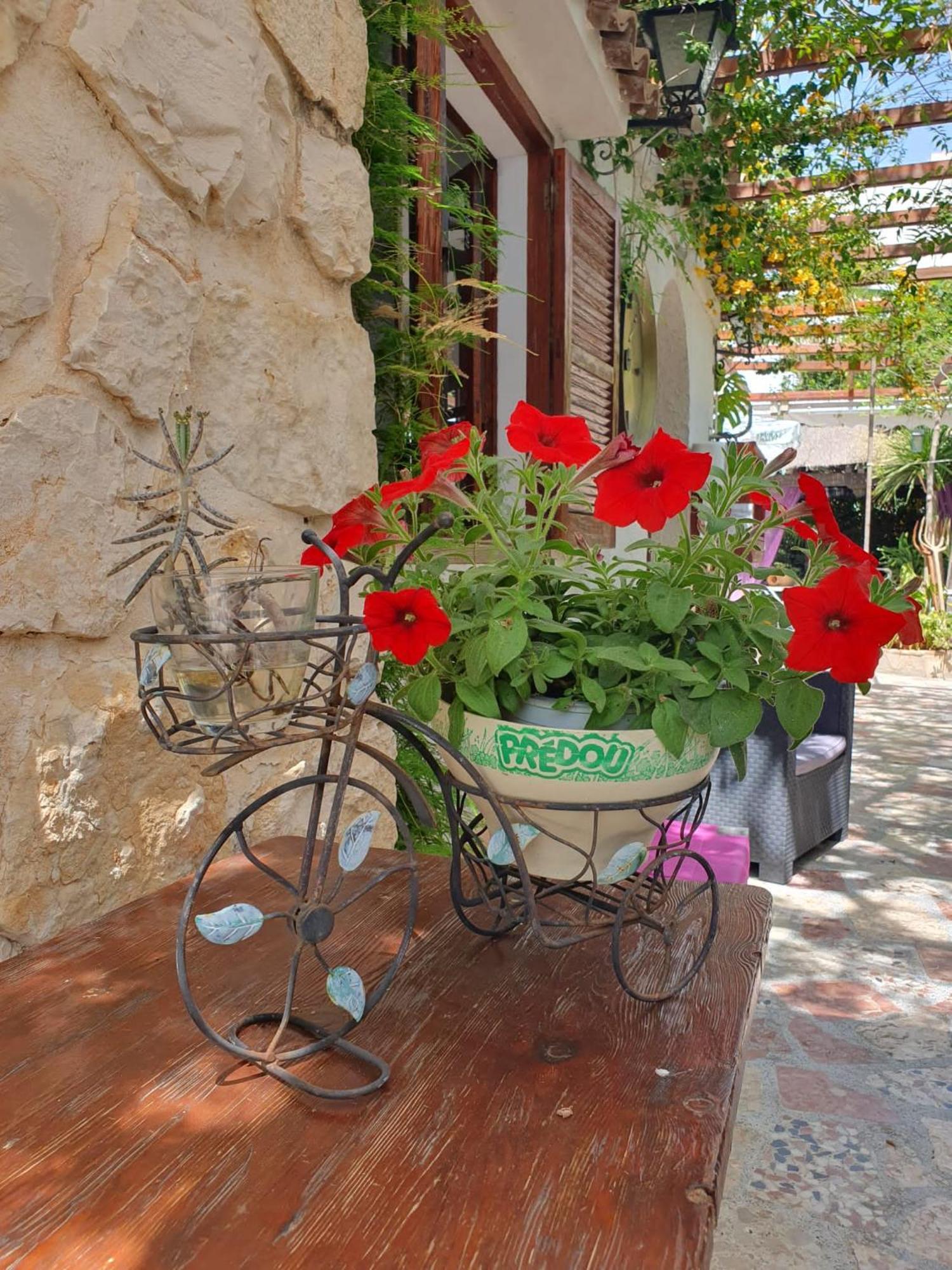 Hostal Mi Campana Denia Exteriör bild