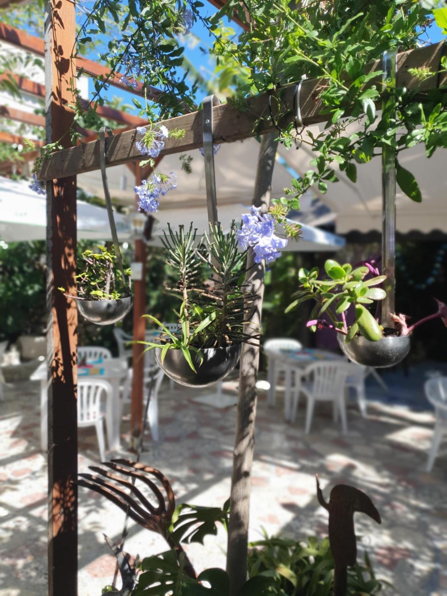Hostal Mi Campana Denia Exteriör bild